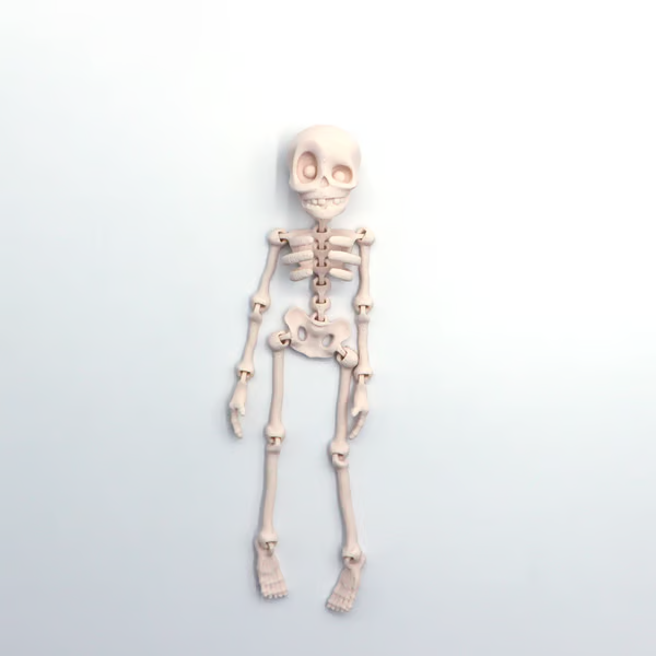 3D Printed Vintage Skeleton Magnetic Figurine π