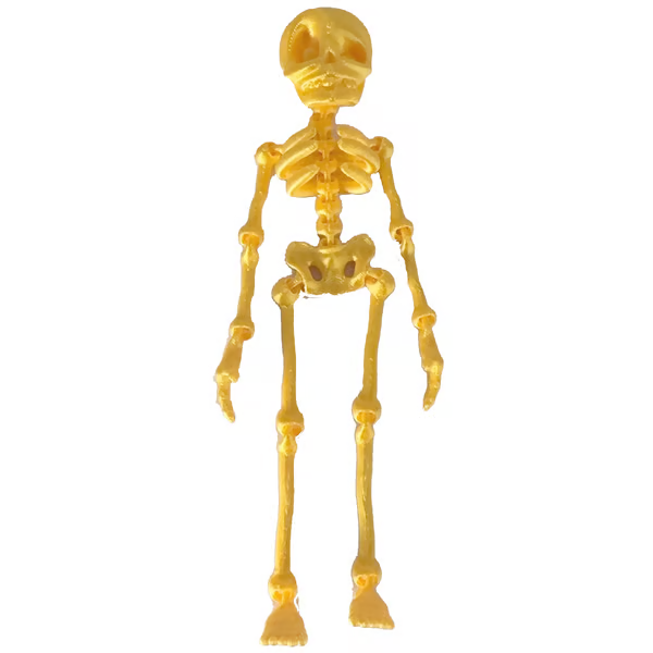 3D Printed Vintage Skeleton Magnetic Figurine π