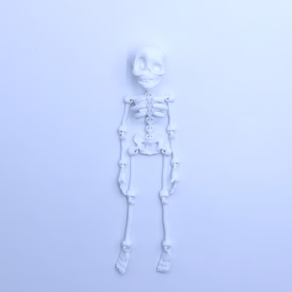 3D Printed Vintage Skeleton Magnetic Figurine π