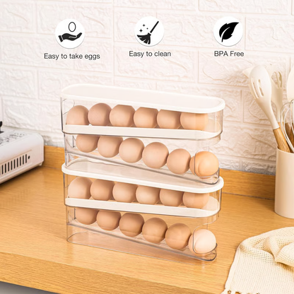 🔥Clear Egg Storage Box